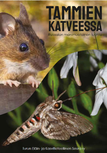 Tammien katveessa